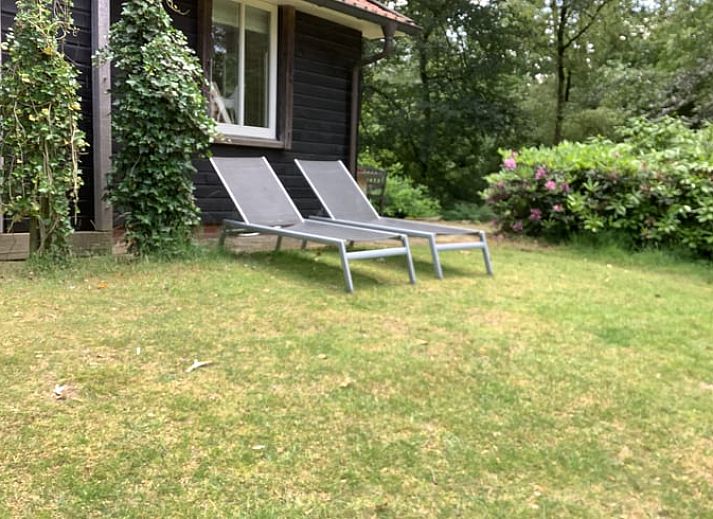Zonnig terras bij vakantiehuis in de Lutte, Twente, perfect voor ontspanning in Overijssel.