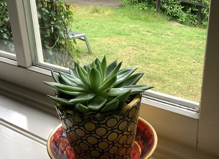 Sfeervol pad door de natuur rondom vakantiehuis in de Lutte, Twente, Overijssel.