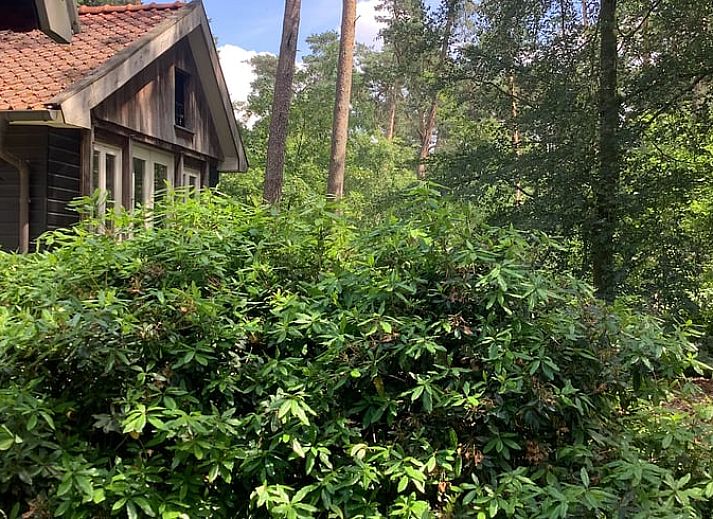 Sfeervol pad door de natuur rondom vakantiehuis in de Lutte, Twente, Overijssel.