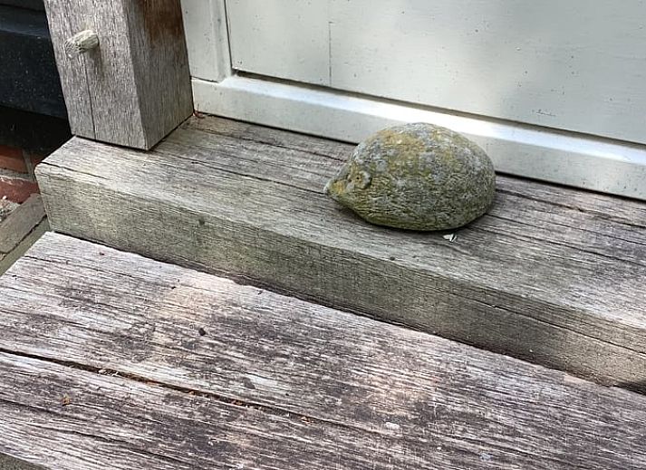 Verblijf 520529 - Vakantiewoning Twente - Vakantiehuis in de Lutte