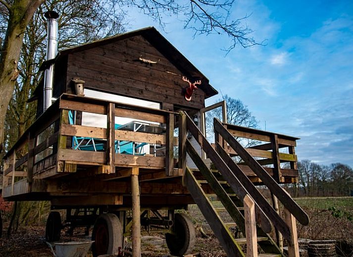 Ferienhaus in De Lutte in Twente, charmantes Holzhaus auf erhoehter Terrasse inmitten der Natur in Overijssel.