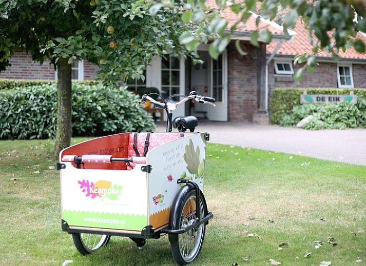 Ferienhaus in De Lutte, ein charmantes Ferienhaus in der gruenen Umgebung von De Lutte, Twente, Overijssel.