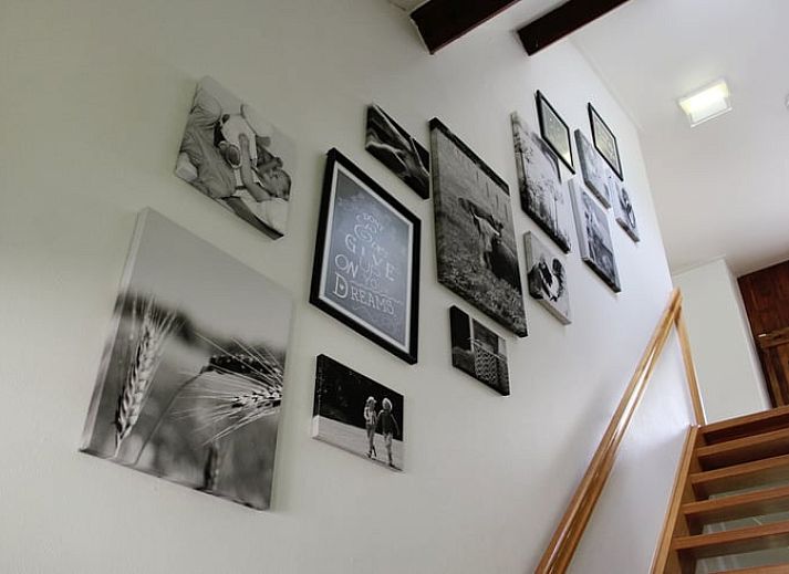 Gemuetlicher Eingang zum Ferienhaus in de Lutte, Twente, mit einem bakfiets auf der gruenen Wiese, ideal fuer einen erholsamen Aufenthalt in Overijssel.