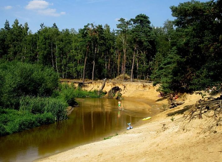 Moderne Kueche im Ferienhaus in de Lutte, Twente, Overijssel, mit grosszuegigen Arbeitsflaechen und Blick auf die gruene Umgebung.