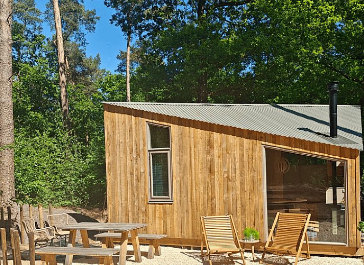 Gezellige zithoek in Vakantiehuisje in de Lutte, Twente, met uitzicht op de natuur.