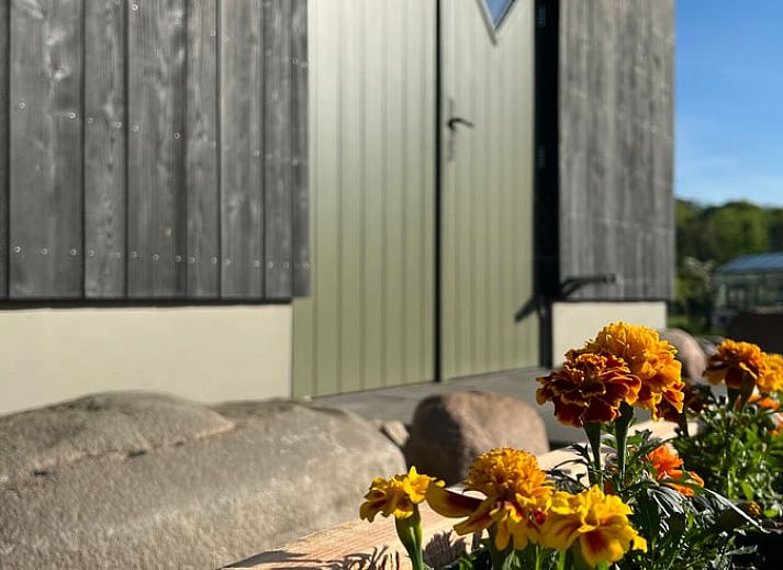 Aussenansicht des Ferienhauses in de Lutte in Twente, Overijssel, umgeben von Blumen und Natur.