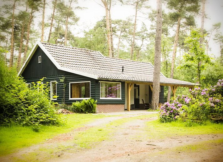 Ferienhaus in De Lutte, Gemeinde Losser, umgeben von gruener Natur in Twente, Overijssel. Ideal fuer einen erholsamen Aufenthalt in den Waeldern.