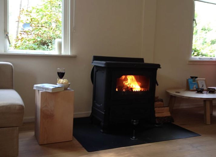 Ferienhaus in De Lutte, Twente, umgeben von Natur und Blumen, ideal zum Entspannen in der rustikalen Umgebung von Overijssel.