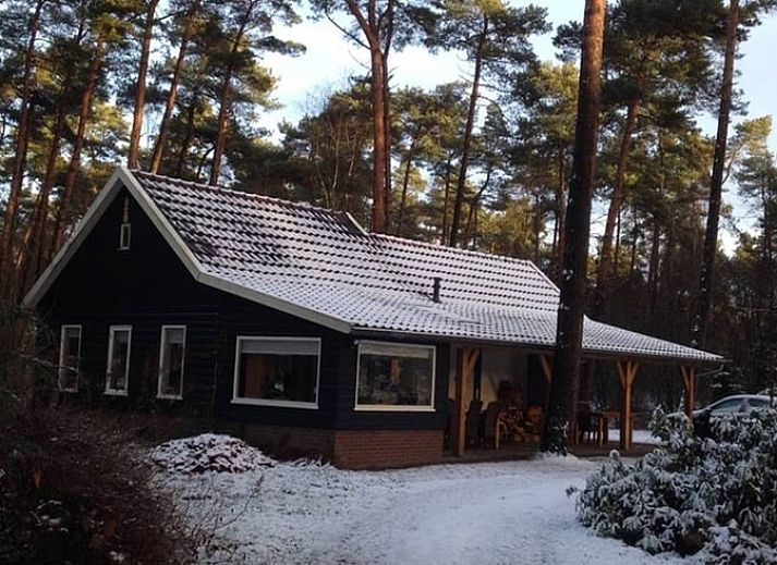 Ferienhaus in De Lutte, Twente, umgeben von Natur und Blumen, ideal zum Entspannen in der rustikalen Umgebung von Overijssel.