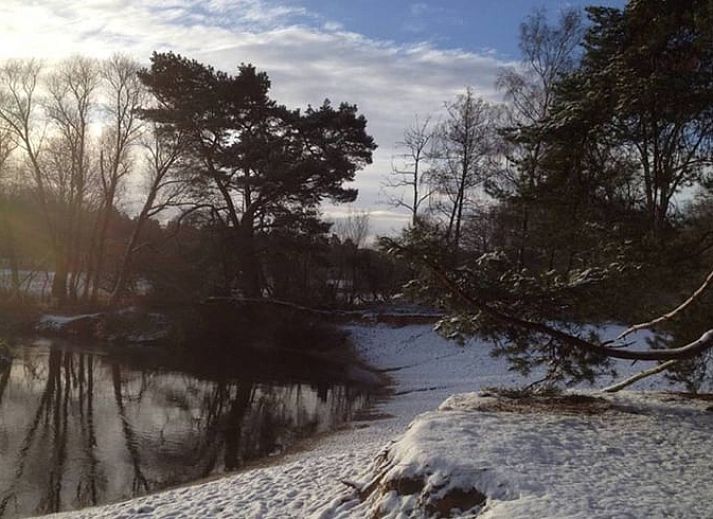 Gemuetlicher Innenbereich des Ferienhauses in De Lutte, Twente, mit Esstisch aus Holz und moderner Kueche in Overijssel.