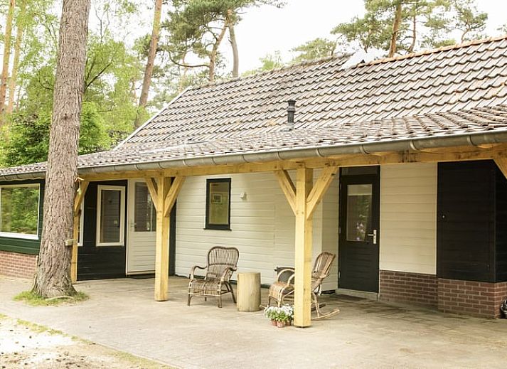 Gemuetlicher Innenbereich des Ferienhauses in De Lutte, Twente, mit Esstisch aus Holz und moderner Kueche in Overijssel.