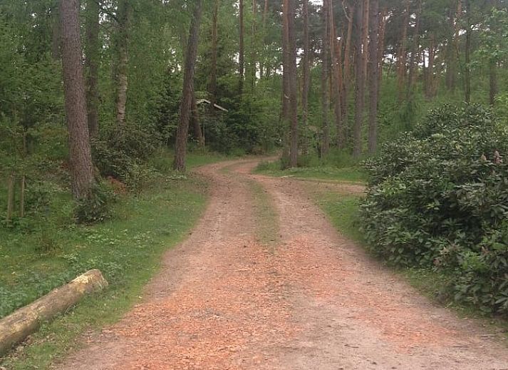 Attraktives Schlafzimmer im Ferienhaus in De Lutte, Twente, mit Holzmoebeln und Blick auf die gruene Umgebung von Overijssel.