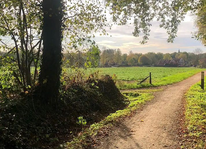 Verblijf 520559 - Vakantiewoning Twente - LaansHuuske