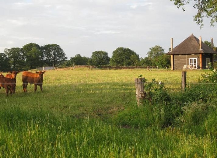 Guest house 520702 • Holiday property Twente • Vakantiehuis in Wierden