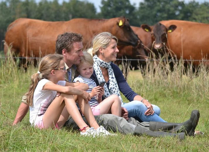 Ontspannen op het terras van Vakantiehuis in Wierden, ideaal voor een rustige vakantie in Twente, Overijssel.