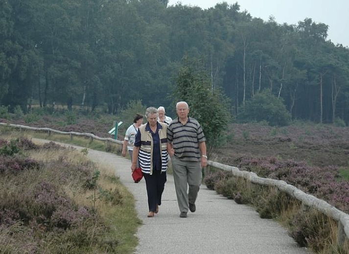 Ontspannen op het terras van Vakantiehuis in Wierden, ideaal voor een rustige vakantie in Twente, Overijssel.