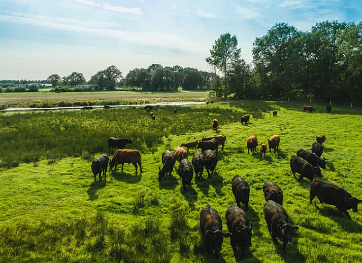 Gezellige zithoek en eetruimte in Vakantiehuis in Wierden, ervaar comfort in Twente, Overijssel.