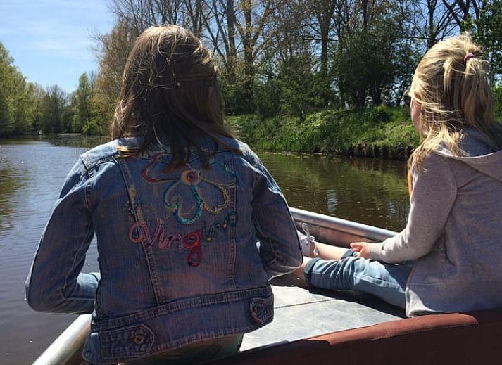 Geniet van het terras van Vakantiehuis in Wierden, Twente met uitzicht op groene velden en bomen.