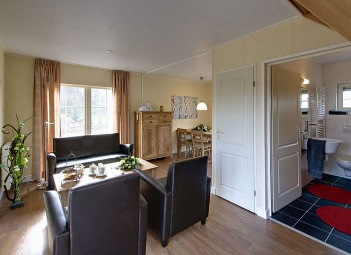 Vakantiehuis in Wierden, Twente biedt een landelijke ervaring met grazende koeien in de weide.