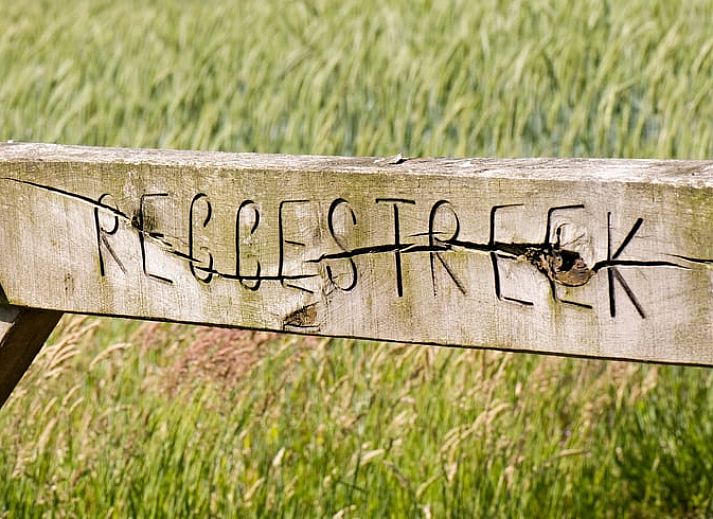 Vakantiehuis in Wierden, Twente met rieten dak en terras naast grazende koeien.