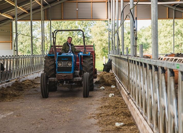 Sneeuwlandschap bij Vakantiehuis in Wierden, Twente voor een winterse ervaring in Overijssel.