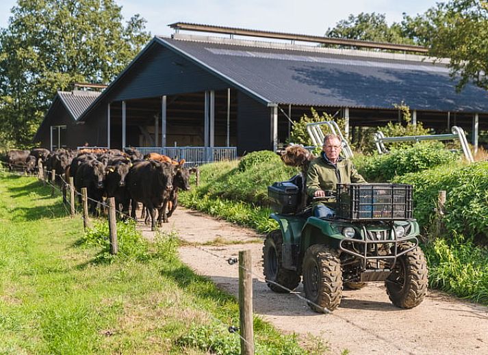 Ontspan op het water nabij Vakantiehuis in Wierden, Twente met een boottocht door de natuur.