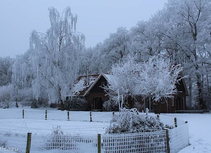 Ontdek de serene wandelpaden rondom Vakantiehuis in Ootmarsum in het prachtige Twente, Overijssel.
