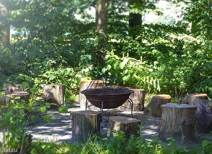 Ontdek de serene wandelpaden rondom Vakantiehuis in Ootmarsum in het prachtige Twente, Overijssel.