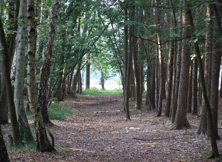 Landgoed Nieuwhuis Ferienhaus in Ootmarsum, Twente mit traditioneller Architektur und laendlicher Umgebung.