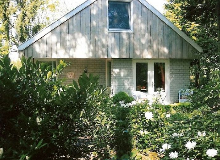 Bewaldete Umgebung des Recreatiepark Noordikhoeve in Reutum, Twente, Overijssel. Schne Natur und ruhige Atmosphre.