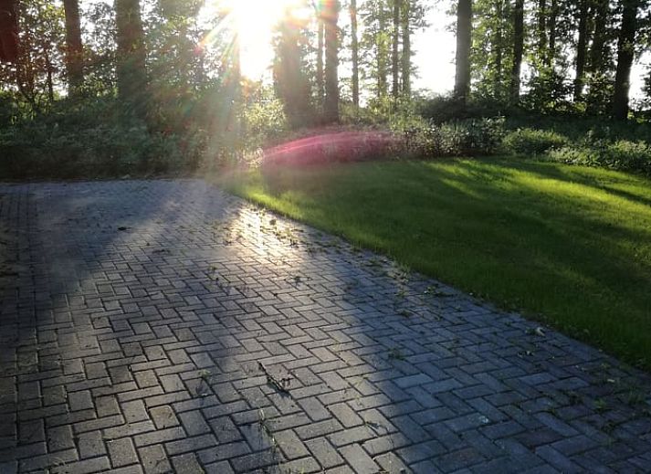 Stijlvolle binnenruimte van Huisje in Ootmarsum, vakantieverblijf in Twente, met houten interieur.