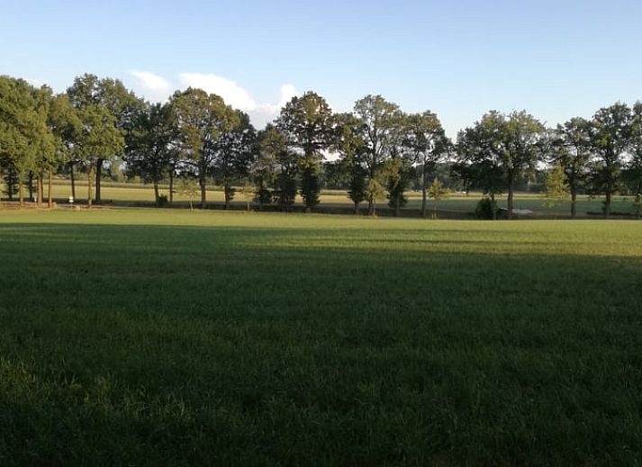 Stijlvolle binnenruimte van Huisje in Ootmarsum, vakantieverblijf in Twente, met houten interieur.