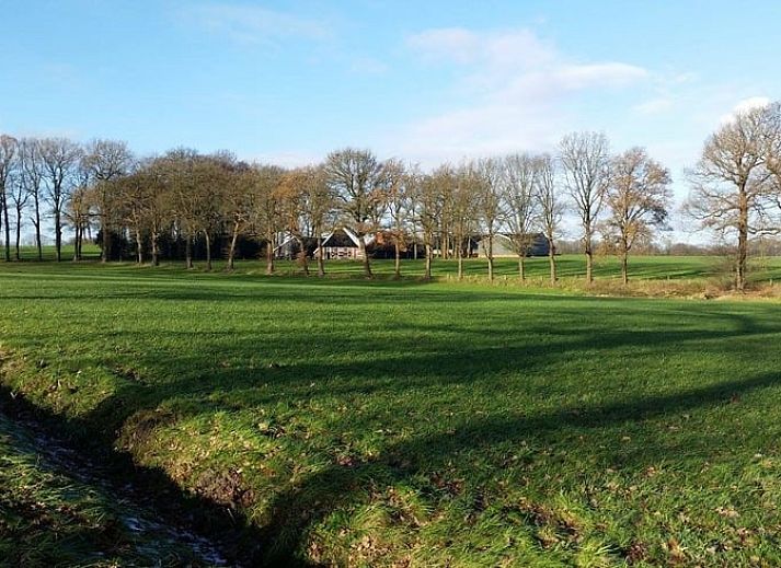 Unieke wanddecoratie in de woonkamer van Huisje in Ootmarsum, vakantiehuis in Twente, Overijssel.