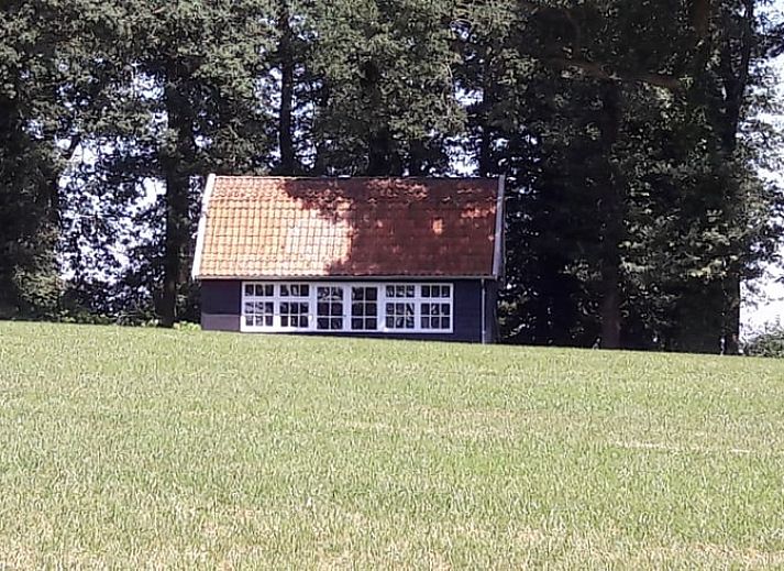 Unieke wanddecoratie in de woonkamer van Huisje in Ootmarsum, vakantiehuis in Twente, Overijssel.