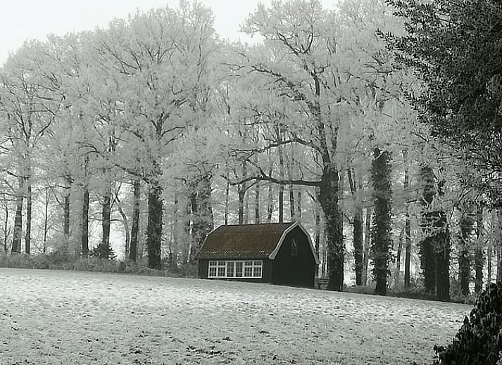 Unieke wanddecoratie in de woonkamer van Huisje in Ootmarsum, vakantiehuis in Twente, Overijssel.