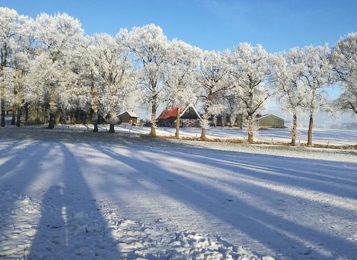 Unieke wanddecoratie in de woonkamer van Huisje in Ootmarsum, vakantiehuis in Twente, Overijssel.