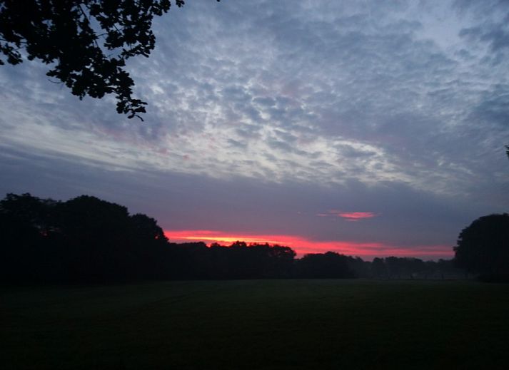 Mapadodo Ferienhaus in Nutter, Twente, umgeben von ppiger Natur und Bumen.