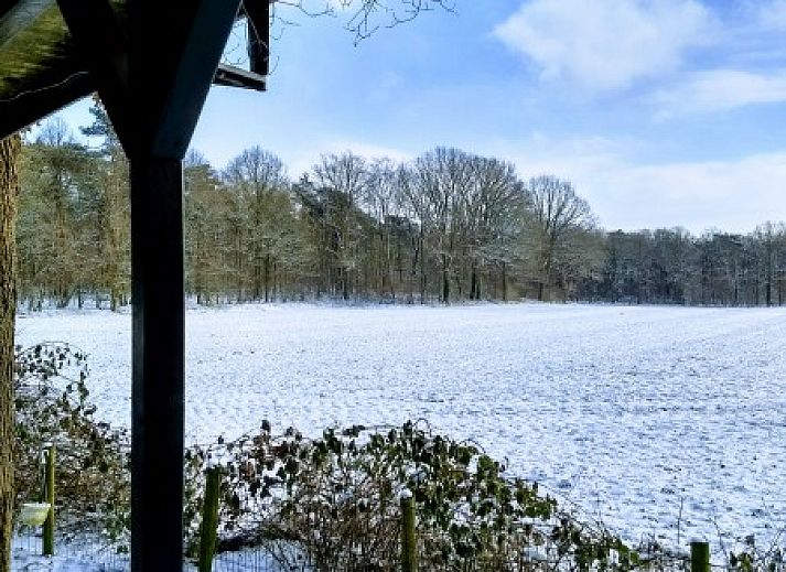 Mapadodo Ferienhaus in Nutter, Twente, umgeben von ppiger Natur und Bumen.