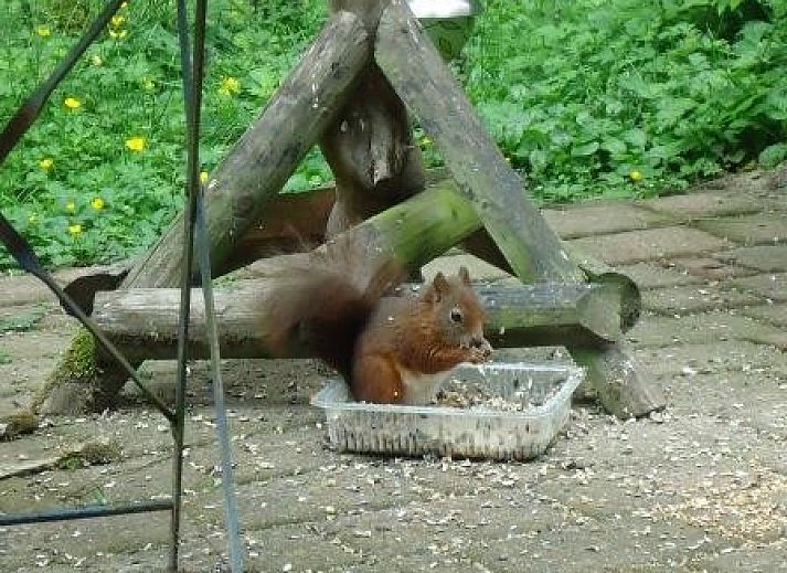 Gemtliches Schlafzimmer im Ferienhaus Mapadodo, Nutter, Twente mit Holzmbeln.