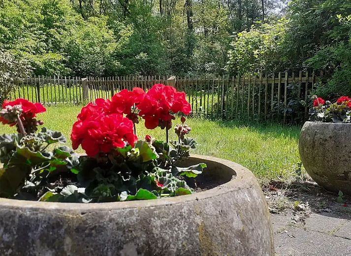 Verblijf 520834 - Bungalow Twente - Zonneheuvel