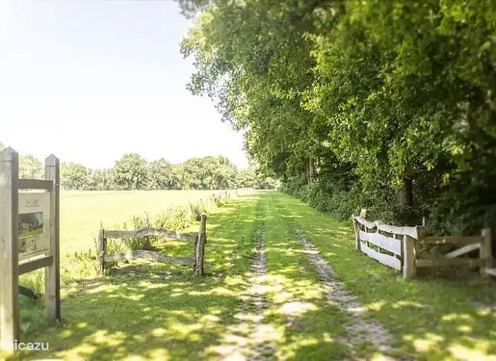 Unterkunft 520845 - Ferienhaus Twente - Erve Getkot  'n Pol