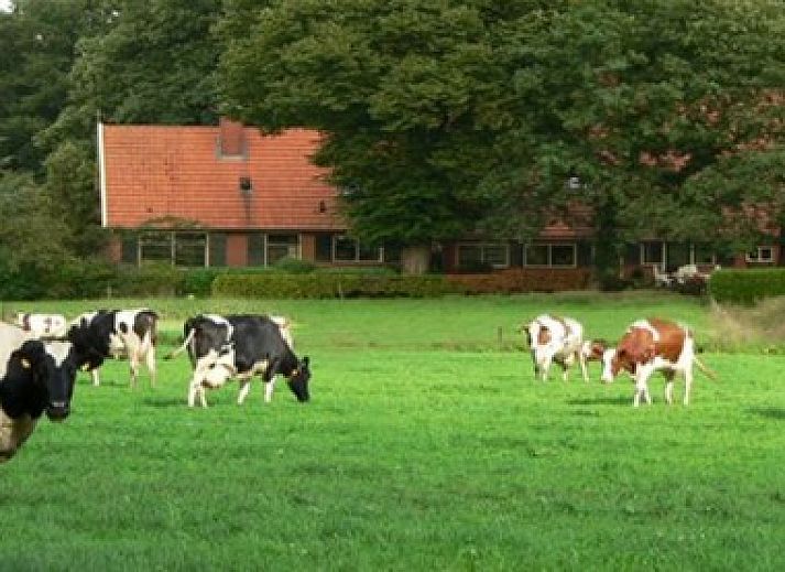 Verblijf 520902 • Vakantiewoning Twente • Erve Scholten 'Boerderij'