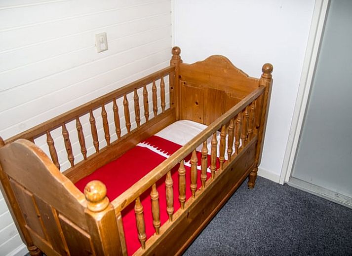 Cozy wood stove in vacation home Hezingen, Twente, for warm evenings.