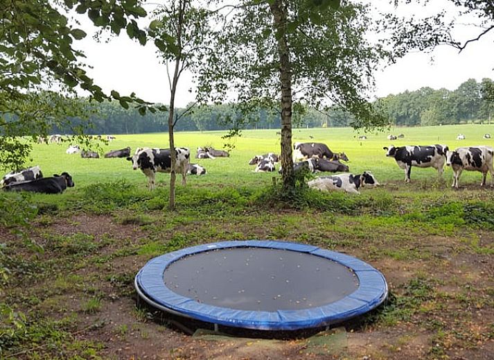 Cozy wood stove in vacation home Hezingen, Twente, for warm evenings.