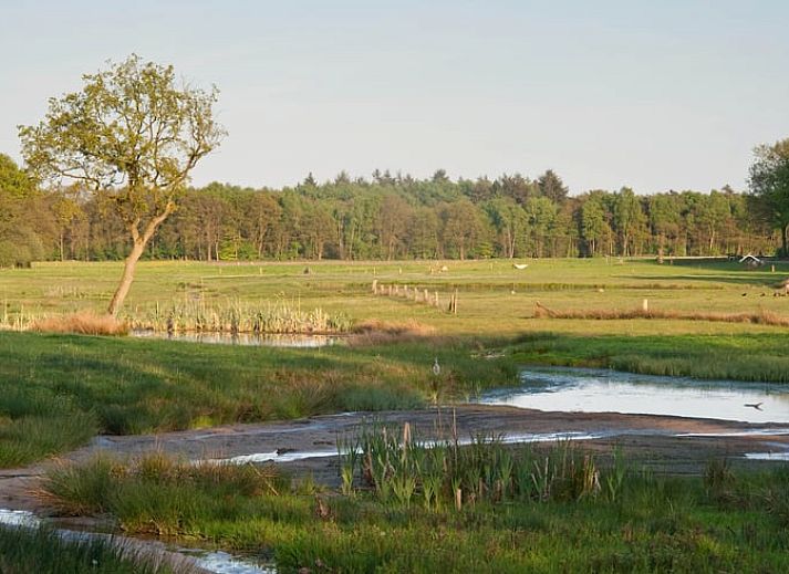 Unterkunft 520911 - Ferienhaus Twente - Vakantiehuisje in Hezingen