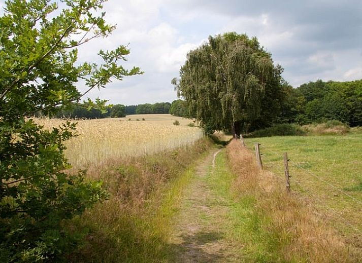 Unterkunft 520911 - Ferienhaus Twente - Vakantiehuisje in Hezingen