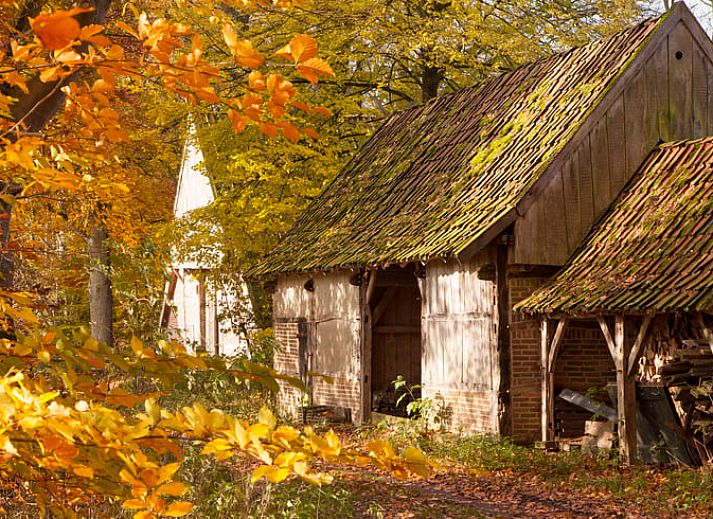 Unterkunft 520911 - Ferienhaus Twente - Vakantiehuisje in Hezingen