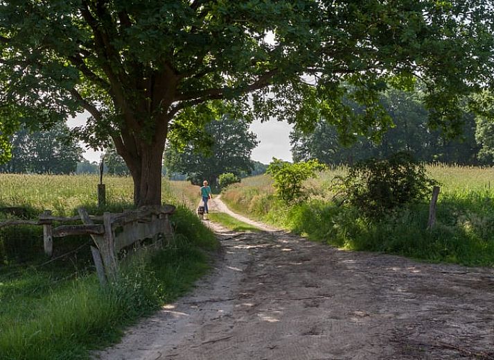Unterkunft 520911 - Ferienhaus Twente - Vakantiehuisje in Hezingen