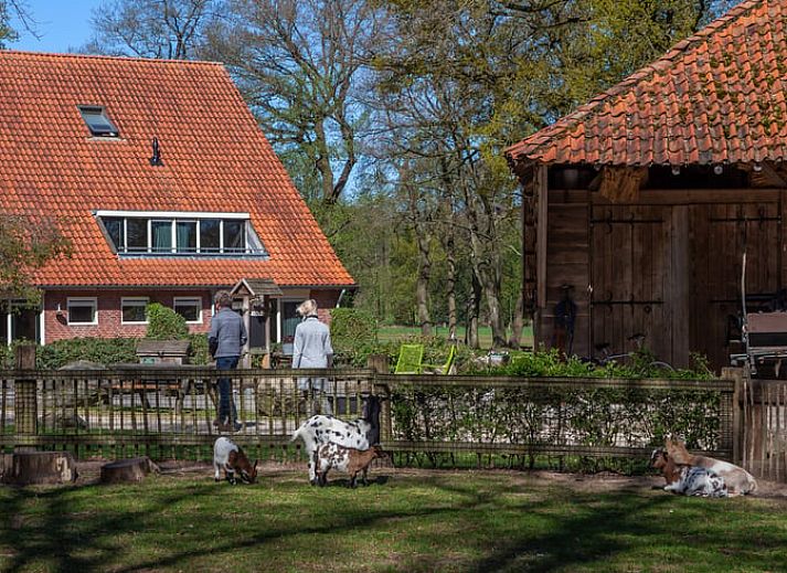 Unterkunft 520913 - Ferienhaus Twente - Vakantiehuis in Hezingen