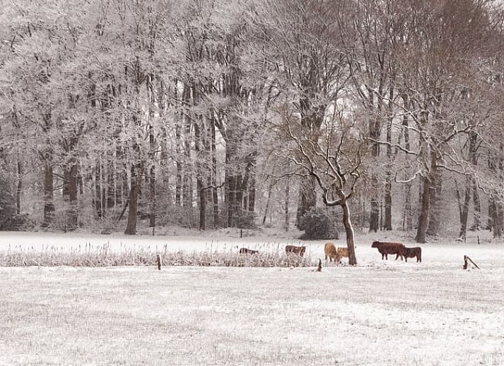 Unterkunft 520913 - Ferienhaus Twente - Vakantiehuis in Hezingen